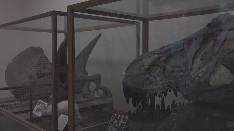 For the past 100 years, the Museum of Geology has allowed visitors to learn about the various...