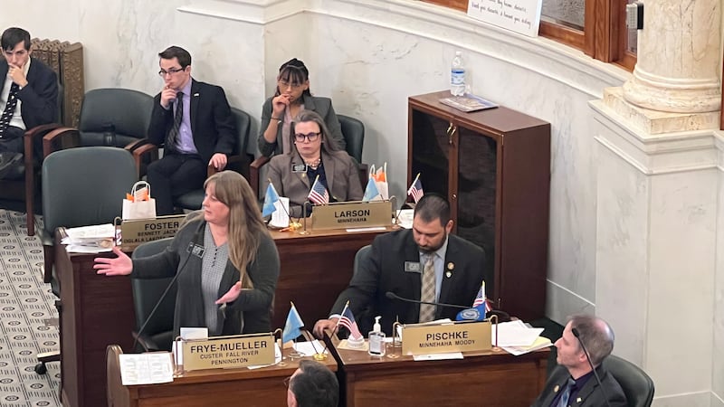 Sen. Julie Frye-Mueller (R-Rapid City) speaks to her colleagues before a vote to consider...